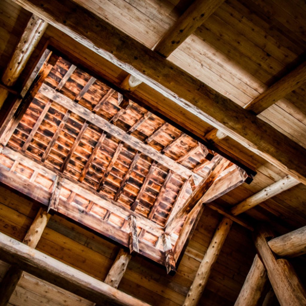 Tsawout Longhouse Ceiling